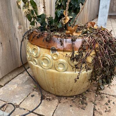 Sale Photo Thumbnail #142