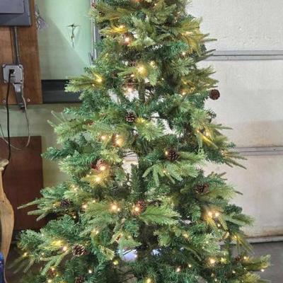 Sale Photo Thumbnail #499