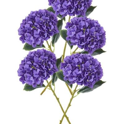 Sale Photo Thumbnail #75