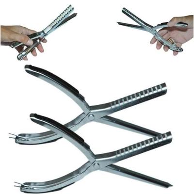 Sale Photo Thumbnail #448