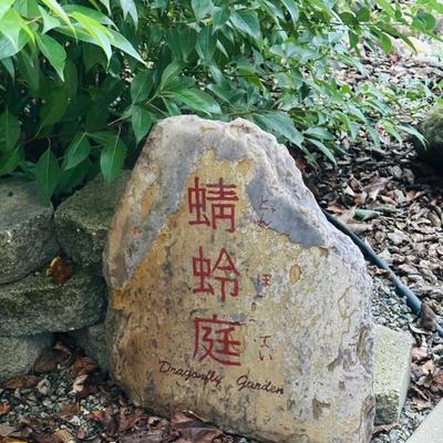 Sale Photo Thumbnail #23