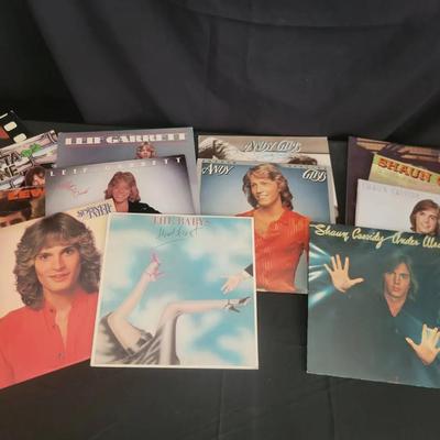 Vinyl LP Records | The Babys, Leif Garrett, Andy Gibb & Shaun Cassidy Rosetta Stone & More