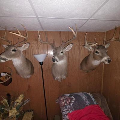 Sale Photo Thumbnail #86