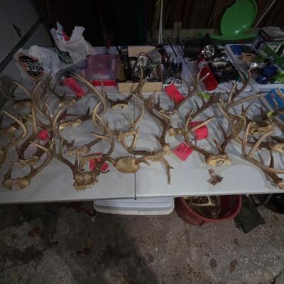 Sale Photo Thumbnail #189