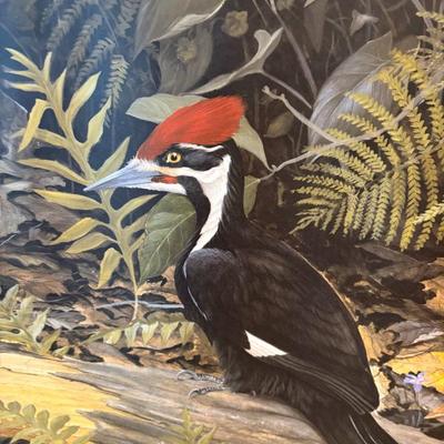 Sale Photo Thumbnail #27