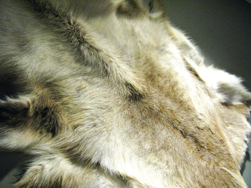 Sale Photo Thumbnail #253