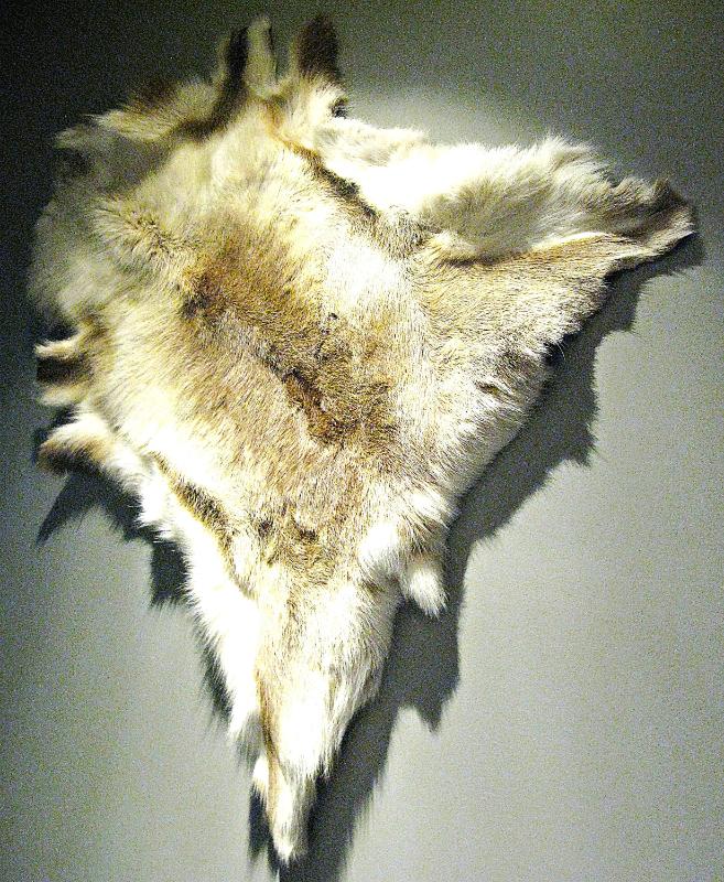 Sale Photo Thumbnail #252