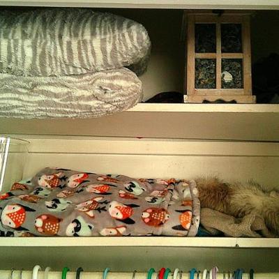 Sale Photo Thumbnail #62