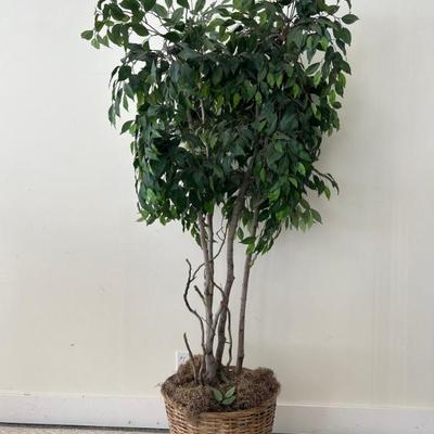 Sale Photo Thumbnail #142