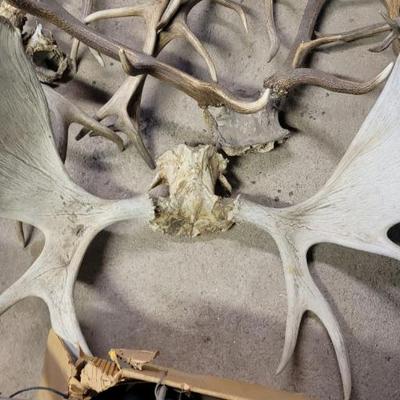 Sale Photo Thumbnail #7