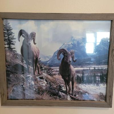 Sale Photo Thumbnail #37