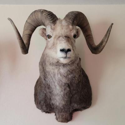 Sale Photo Thumbnail #3