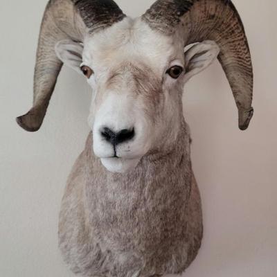 Sale Photo Thumbnail #13