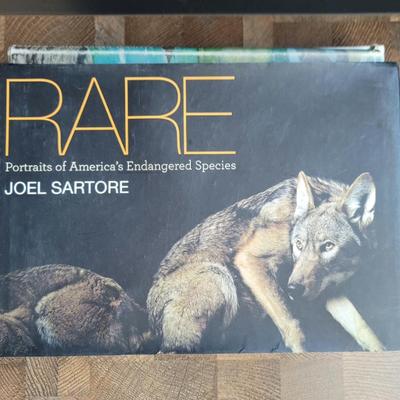 Sale Photo Thumbnail #42