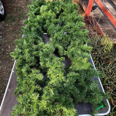 Sale Photo Thumbnail #22