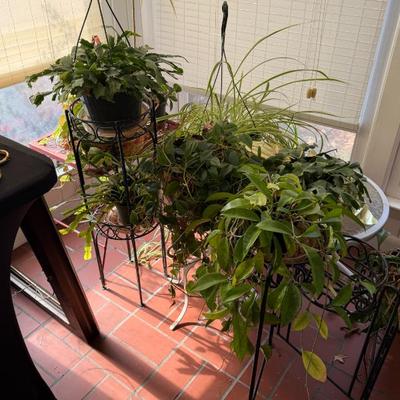 Sale Photo Thumbnail #489