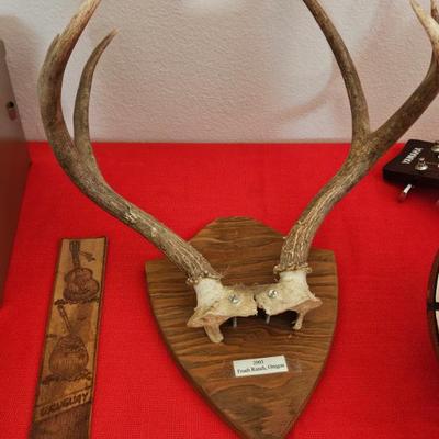 Sale Photo Thumbnail #76