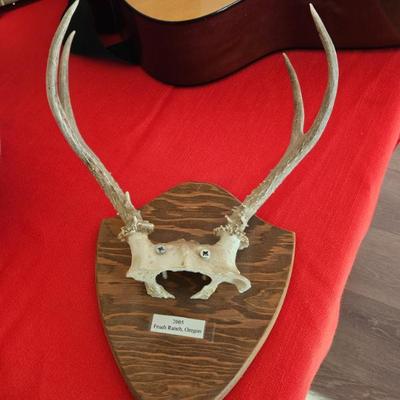 Sale Photo Thumbnail #77