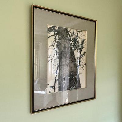 Sale Photo Thumbnail #50