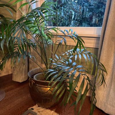 Sale Photo Thumbnail #24