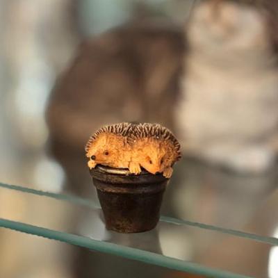 Sale Photo Thumbnail #21