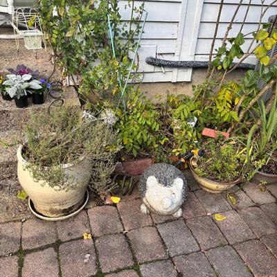 Sale Photo Thumbnail #68