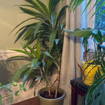 Sale Photo Thumbnail #91