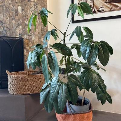 Sale Photo Thumbnail #35