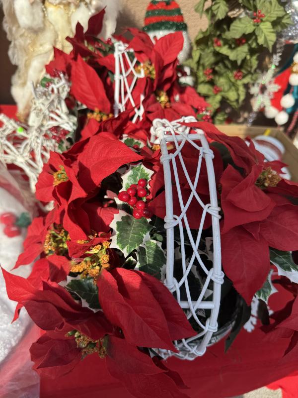 Sale Photo Thumbnail #6