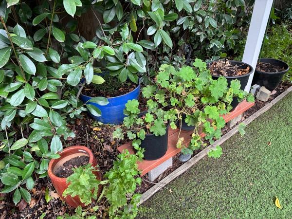 Sale Photo Thumbnail #19