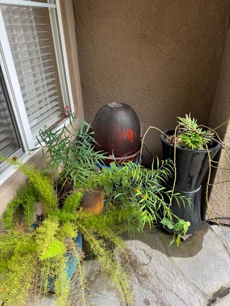 Sale Photo Thumbnail #65