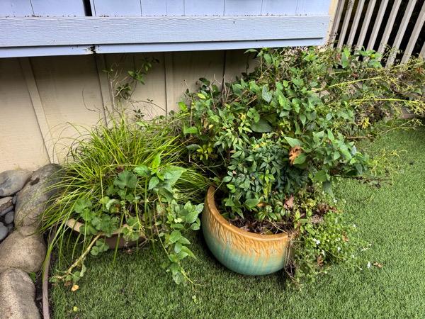 Sale Photo Thumbnail #15