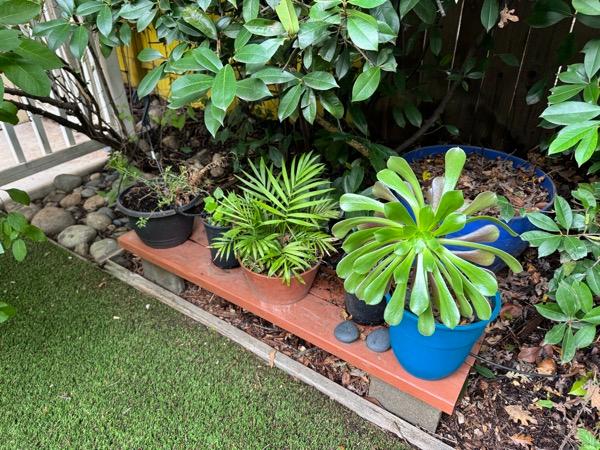 Sale Photo Thumbnail #18