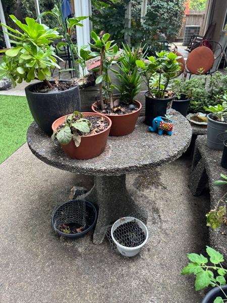 Sale Photo Thumbnail #10