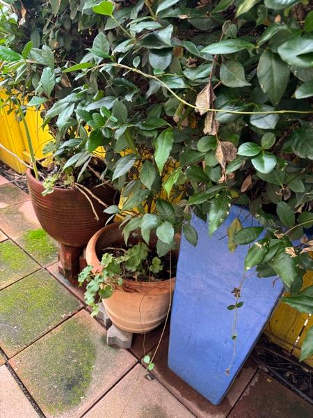 Sale Photo Thumbnail #12