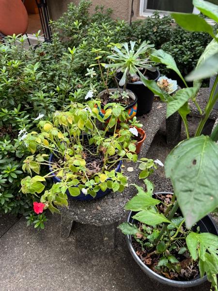 Sale Photo Thumbnail #8