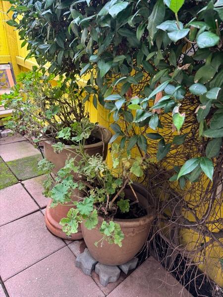 Sale Photo Thumbnail #13