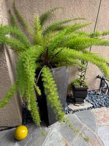 Sale Photo Thumbnail #66