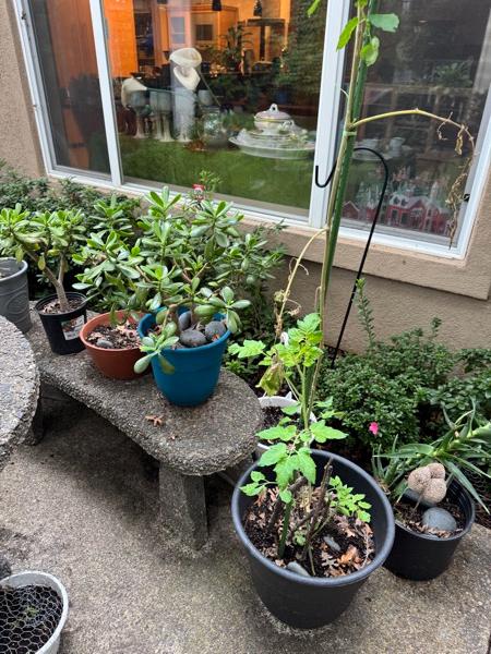 Sale Photo Thumbnail #9