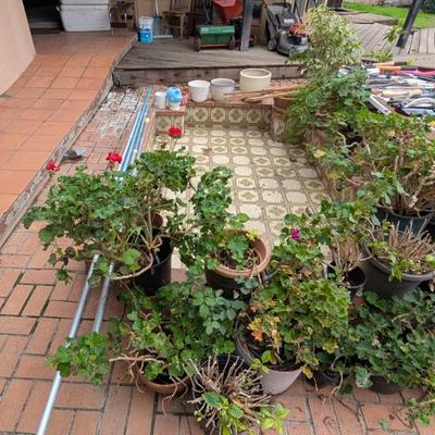 Sale Photo Thumbnail #203