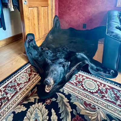 Sale Photo Thumbnail #102