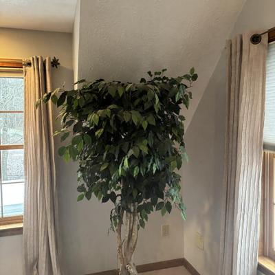 Sale Photo Thumbnail #138