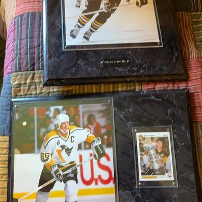 Mario Lemiuex Plaques