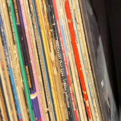 Shelf of Record Albums 