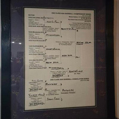 2002 AAA Baseball Championship Series Print Out 