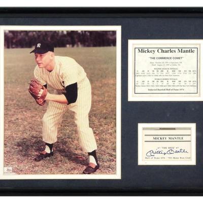 Sale Photo Thumbnail #141