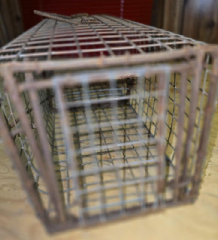 Sale Photo Thumbnail #12