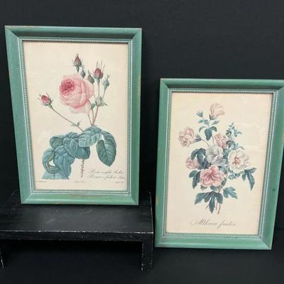 Framed Botanical Prints II