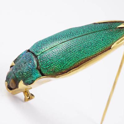 14K Gold Jewel Beatle Brooch - 1.5"