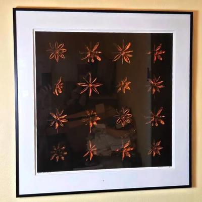 Bill Pusztai Signed Artist’s Proof Photograph “Anise Grid” 2009